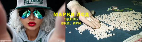 гидра Алексин