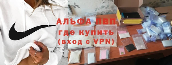 гидра Алексин