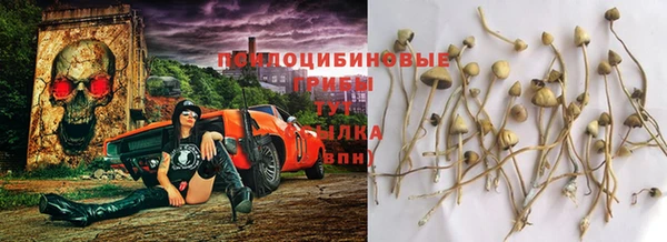 наркотики Алексеевка